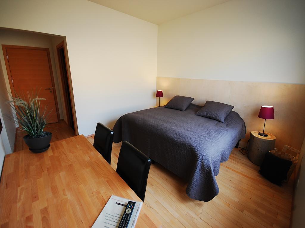 Volcano Hotel Vík Стая снимка